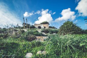 Il Patrimonio Rurale dell’isola di Lampedusa