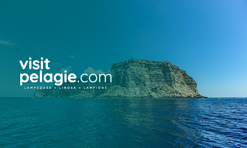 Lampedusa - Visit Pelagie: Lampedusa + Linosa + Lampione