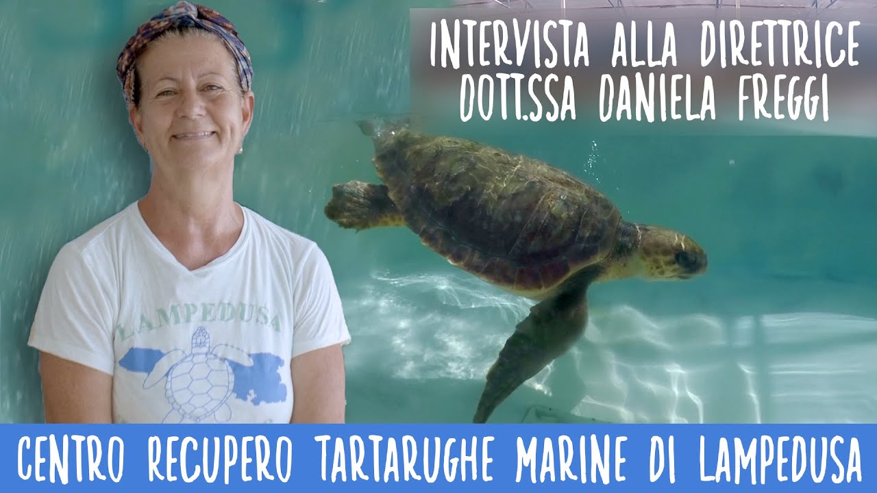 Lampedusa Turtle Rescue: salvaguardia e tutela di una specie ormai a rischio