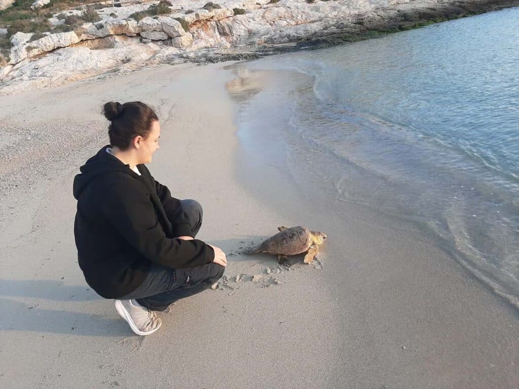 Le Tartarughe hanno bisogno di VOI! - Lampedusa Turtle Rescue